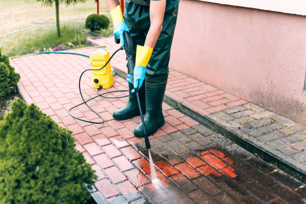 Best Roof Washing  in Trenton, NJ