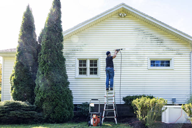 Spring Cleaning in Trenton, NJ